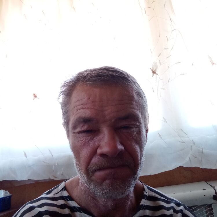  30834417  , 51 ,    