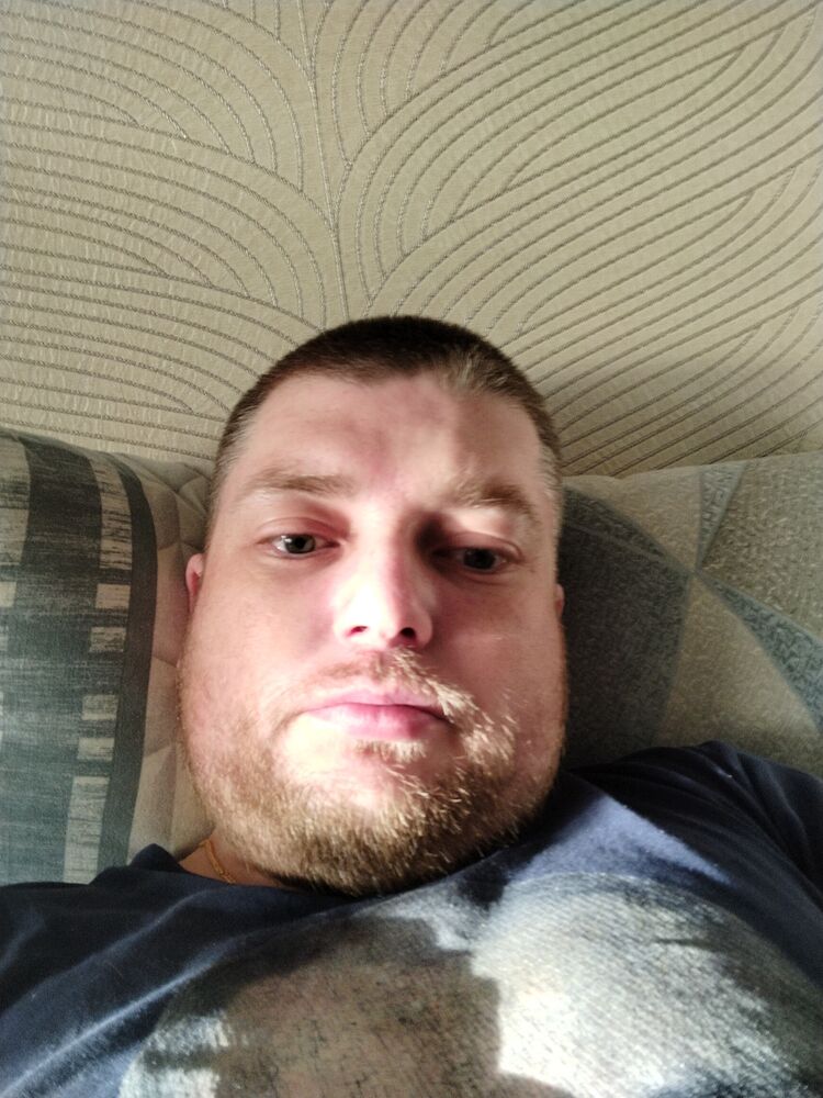  33646397  , 40 ,     