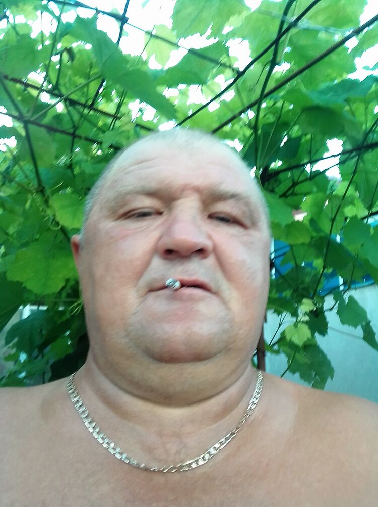  44802077  , 50 ,    