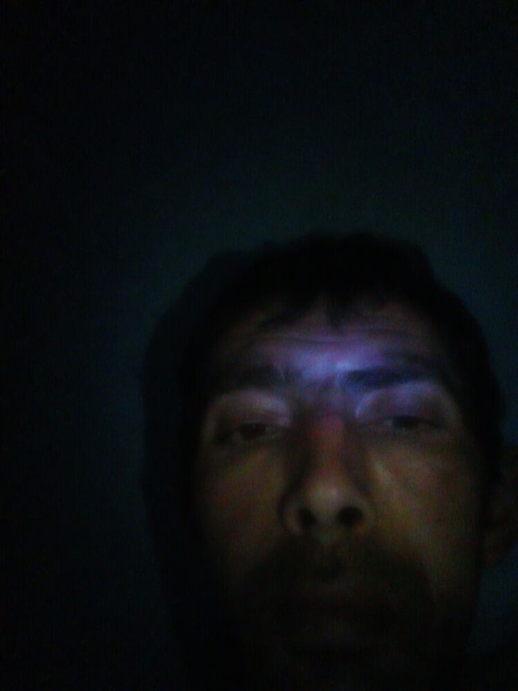  22421287  , 37 ,    