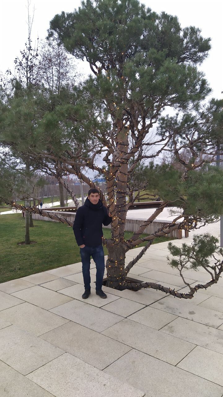 ���� 34761377 ������� �����, 30 ���, ���� ���������� � ����������