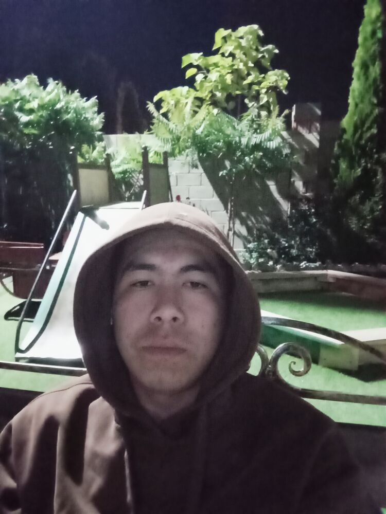  52880337  , 21 ,    -