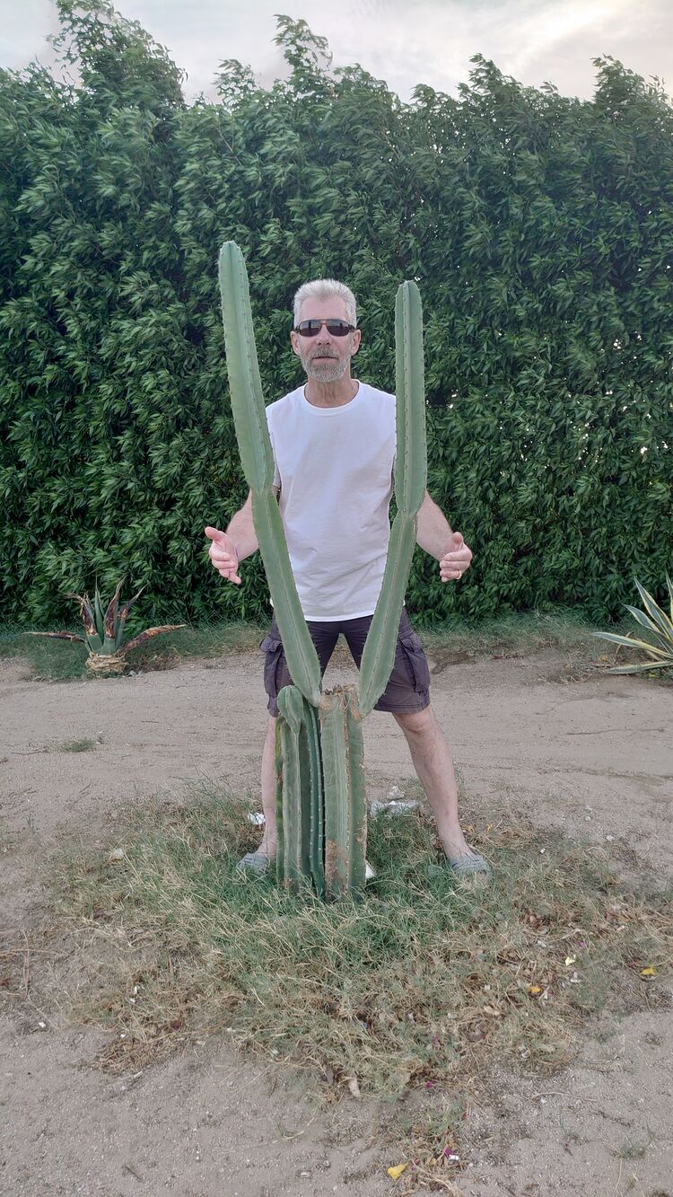  ,   , 59 ,   ,   , c 