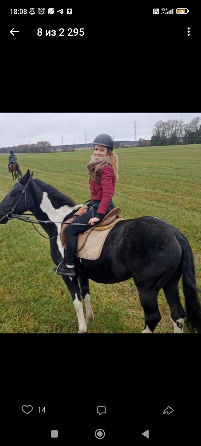  31676457  , 39 ,    -