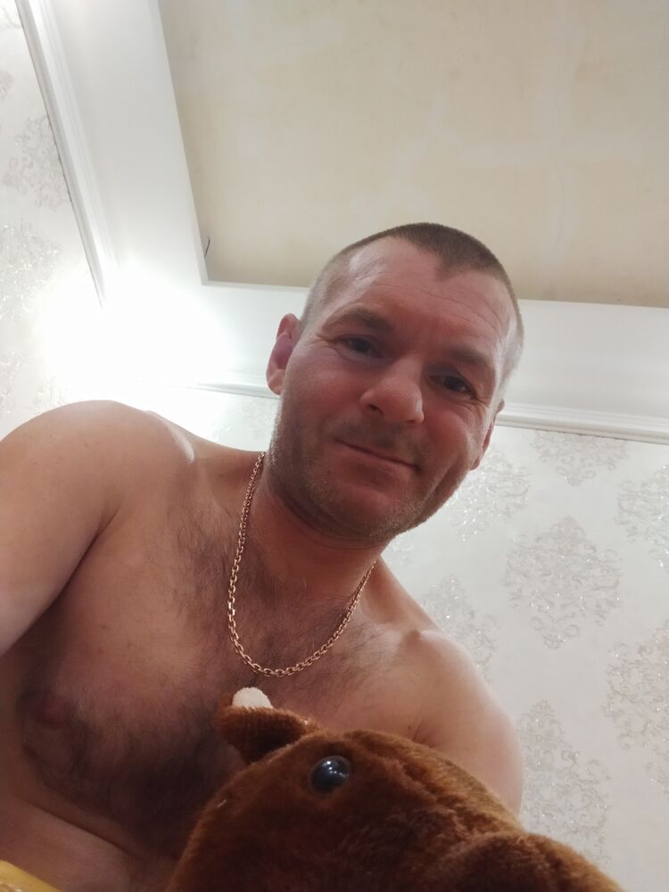  41584087  , 44 ,    