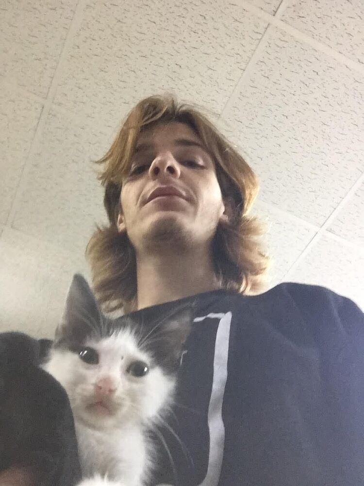  53117037  Nugo, 24 ,    