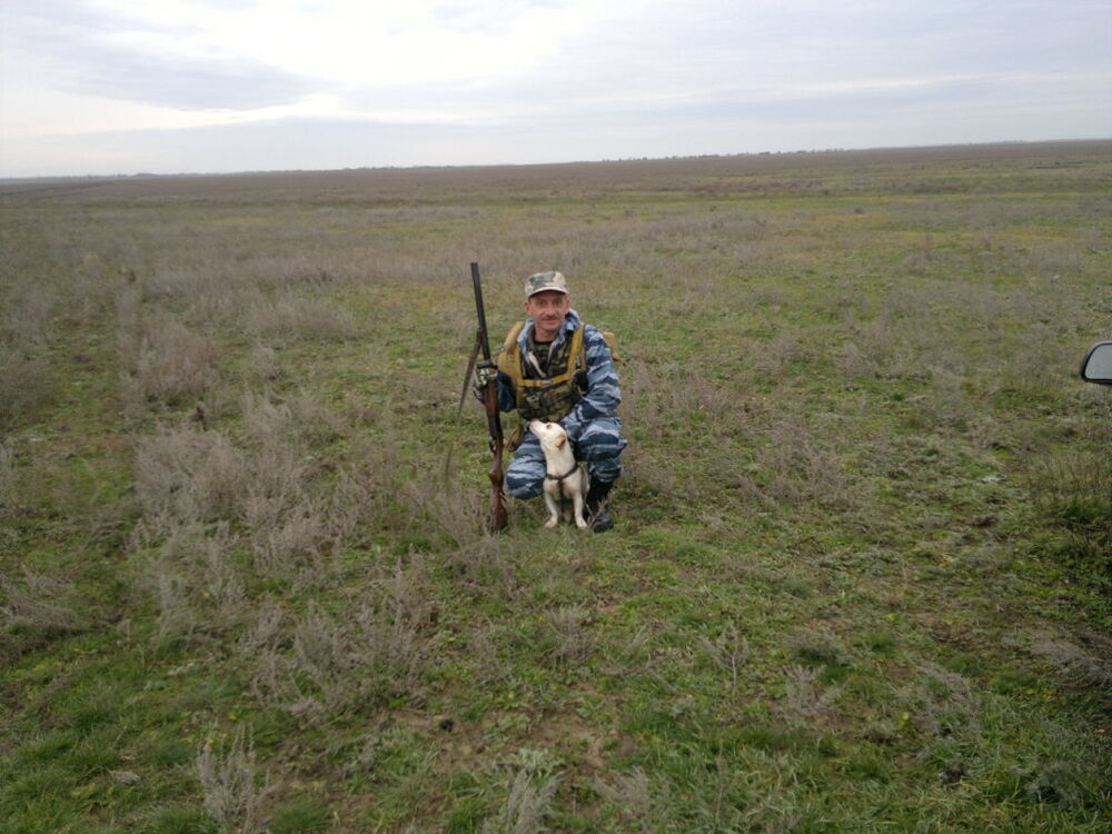 ���� 55513957 ������� �����, 53 ����, ���� ���������� � �����������