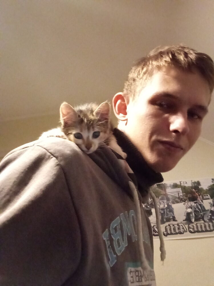 ���� 10715737 ������� ������, 32 ����, ���� ���������� � �����