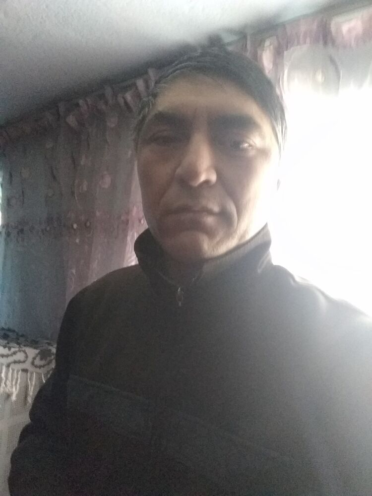  19029037  , 43 ,    