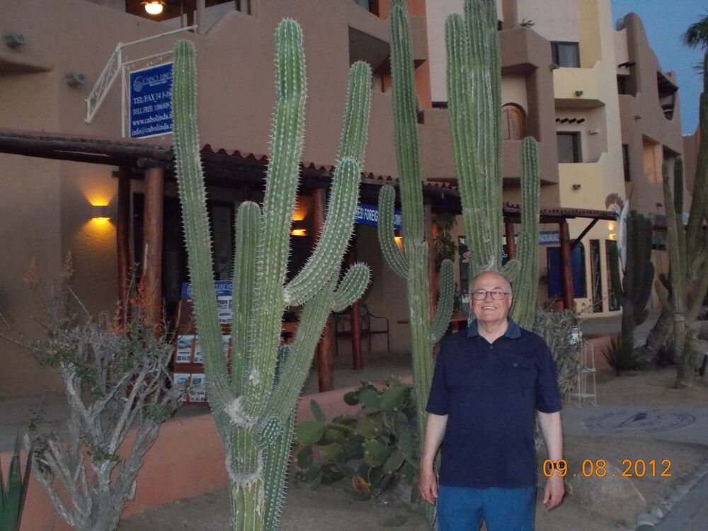  ,   , 71 ,   