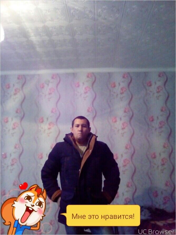  8060787  , 38 ,    