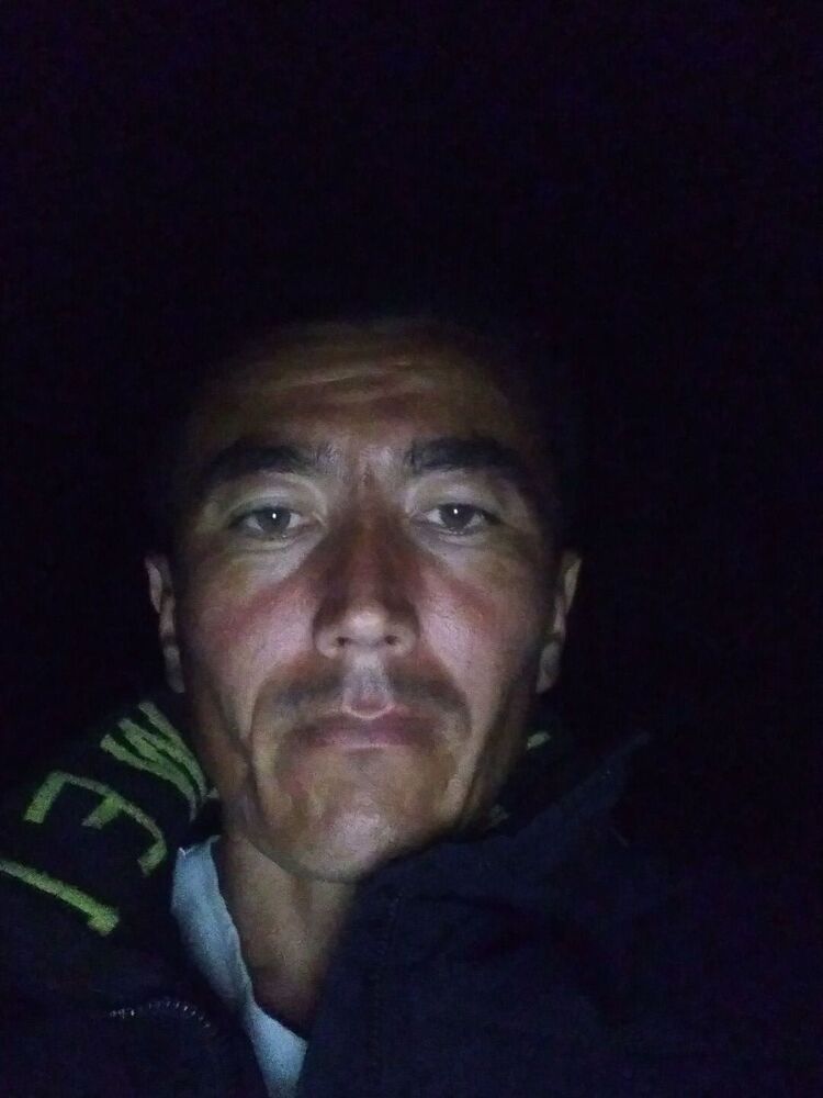  33283377  , 30 ,    -