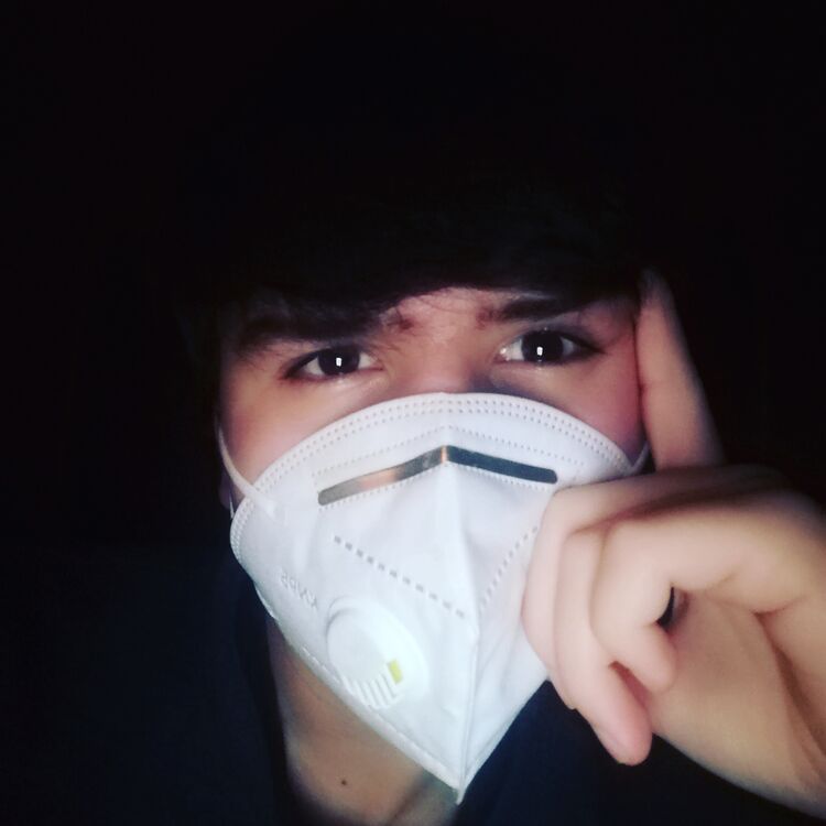 ���� 27195347 ����� �����, 22 ����, ���� ���������� � ����������