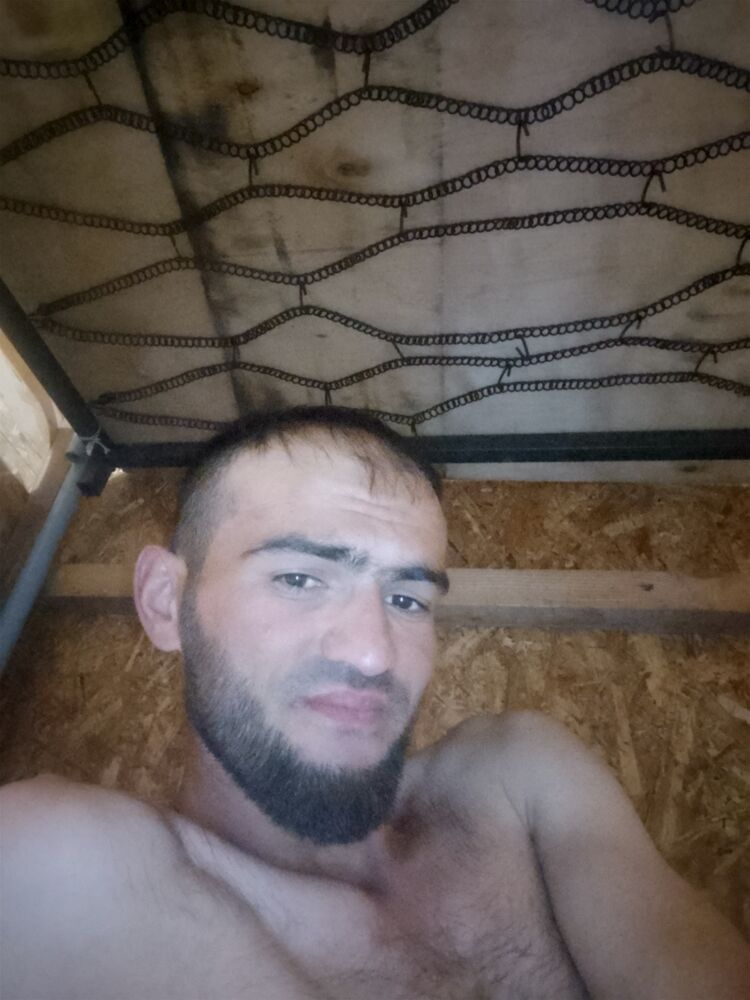  51809437  , 29 ,    