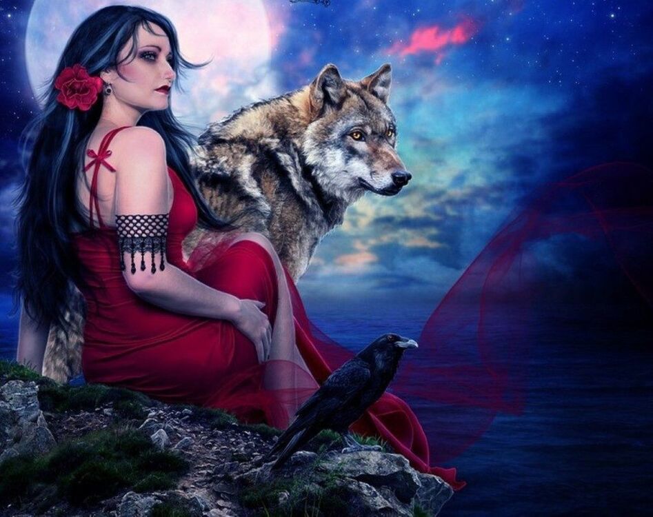 ���� 55240987 ������� �������, 54 ����, ���� ���������� � ��������