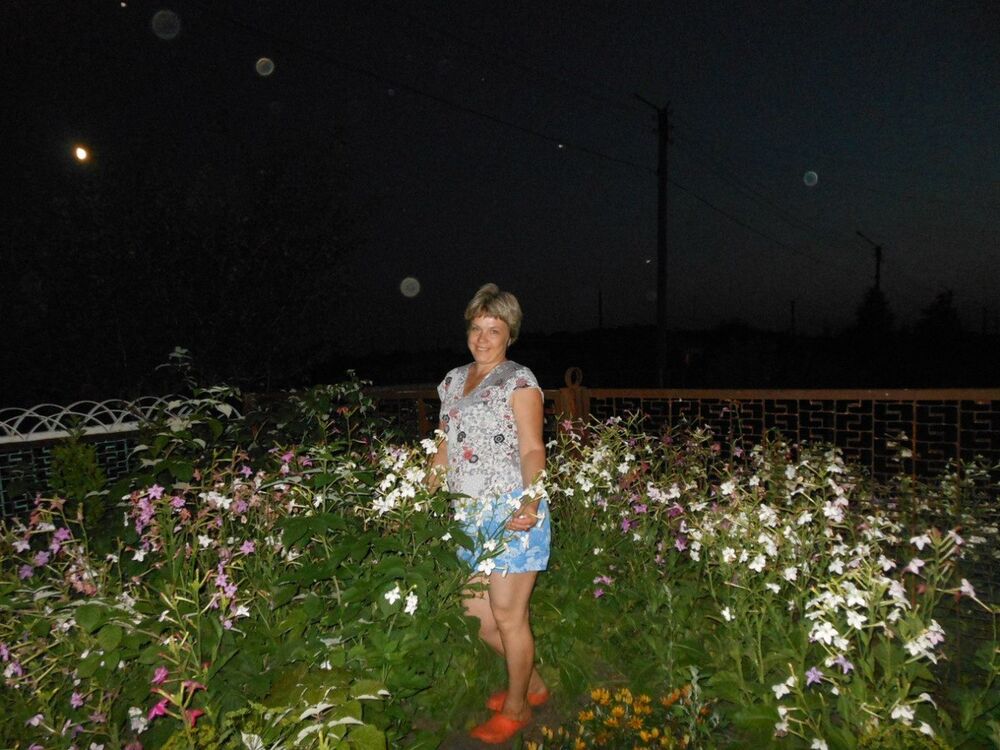 ���� 7331447 ������� �������, 54 ����, ���� ���������� � �������