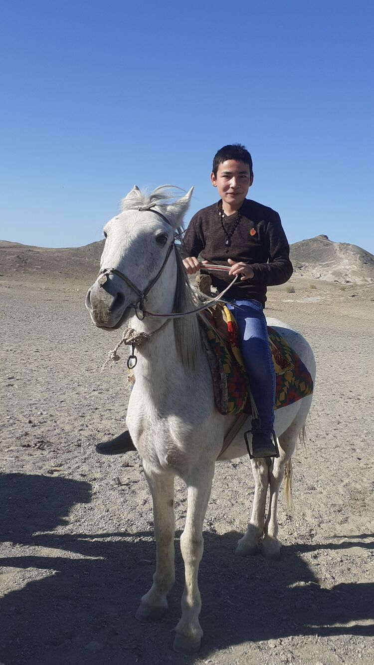 ���������� �������, ���� ������� ���������, 43 ����, ������������ ��� ������, ����� � ���������