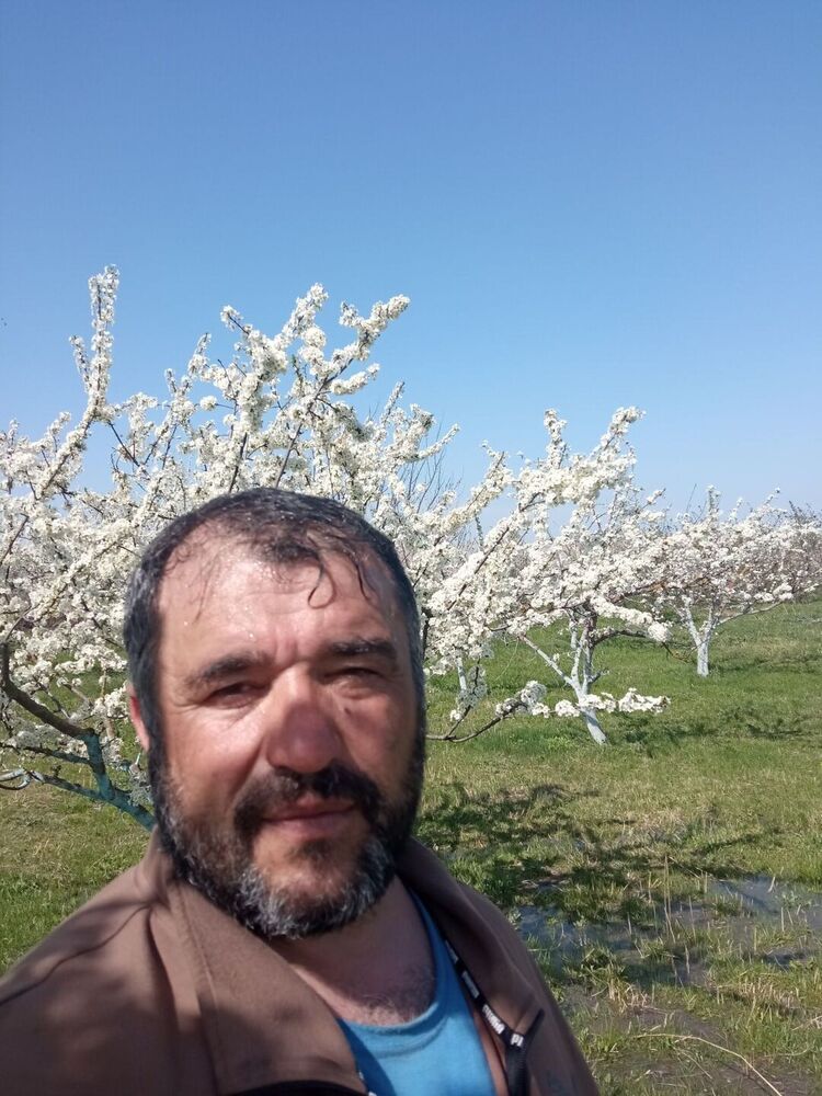  35043287  , 49 ,    