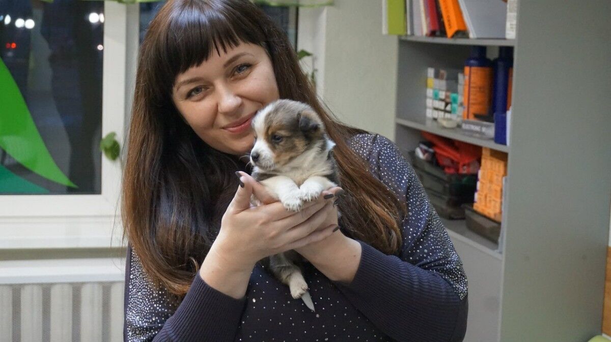 ���� 12630287 ������� �����, 48 ���, ���� ���������� � ������