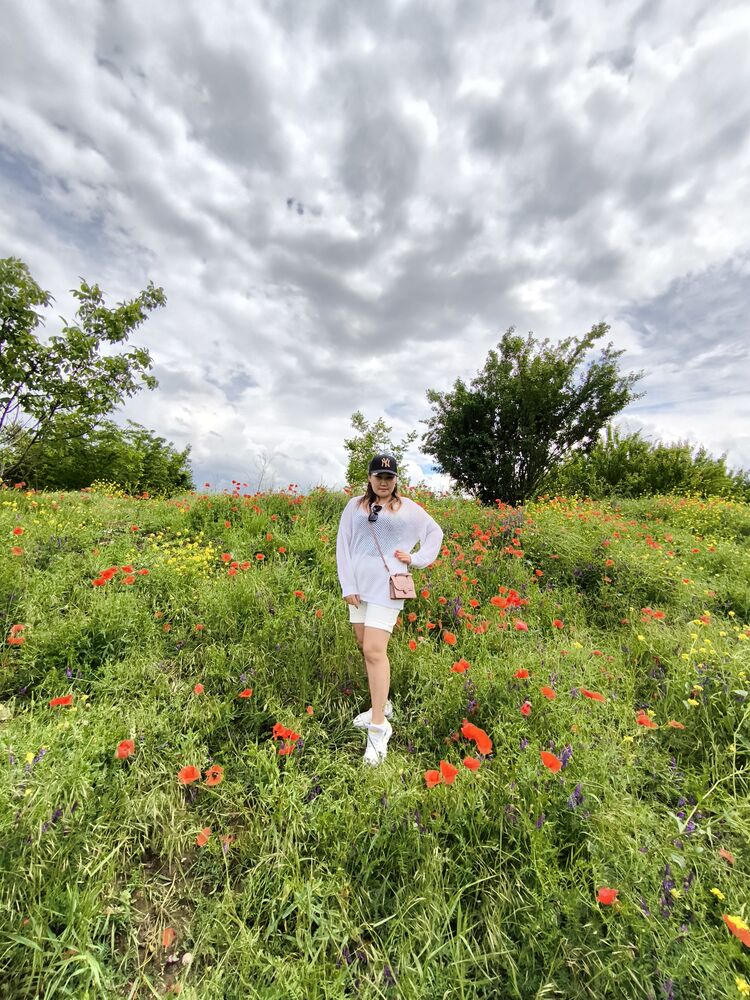 ���������� ���������, ���� ������� ������, 36 ���, ������������ ��� ������, ����� � ���������, c�������� ���������, ���������