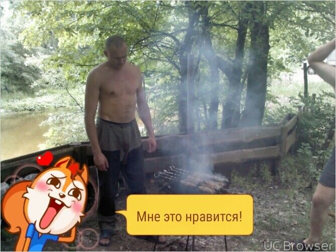  8872687  , 49 ,    