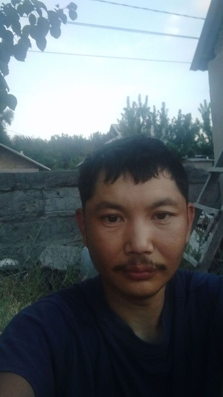 ���� 23377737 ������� �������, 36 ���, ���� ���������� � �������