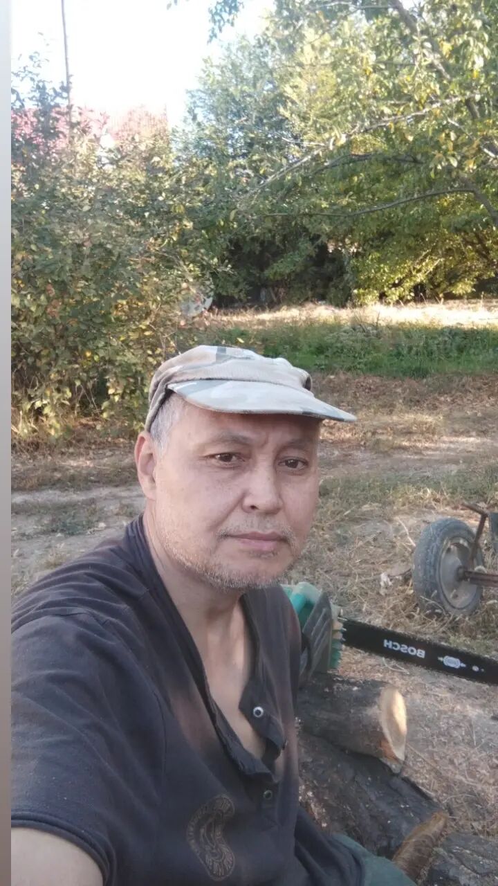 ���� 56216447 ������� �����, 50 ���, ���� ���������� � ������