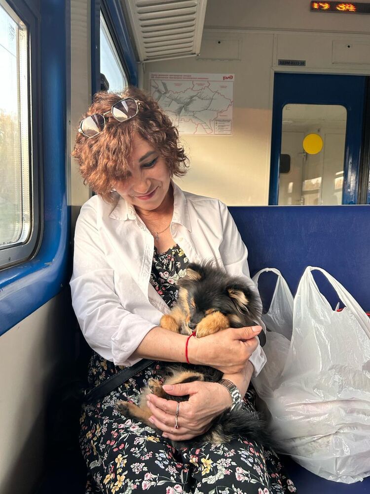 ���� 51298207 ������� �������, 58 ���, ���� ���������� � ��������