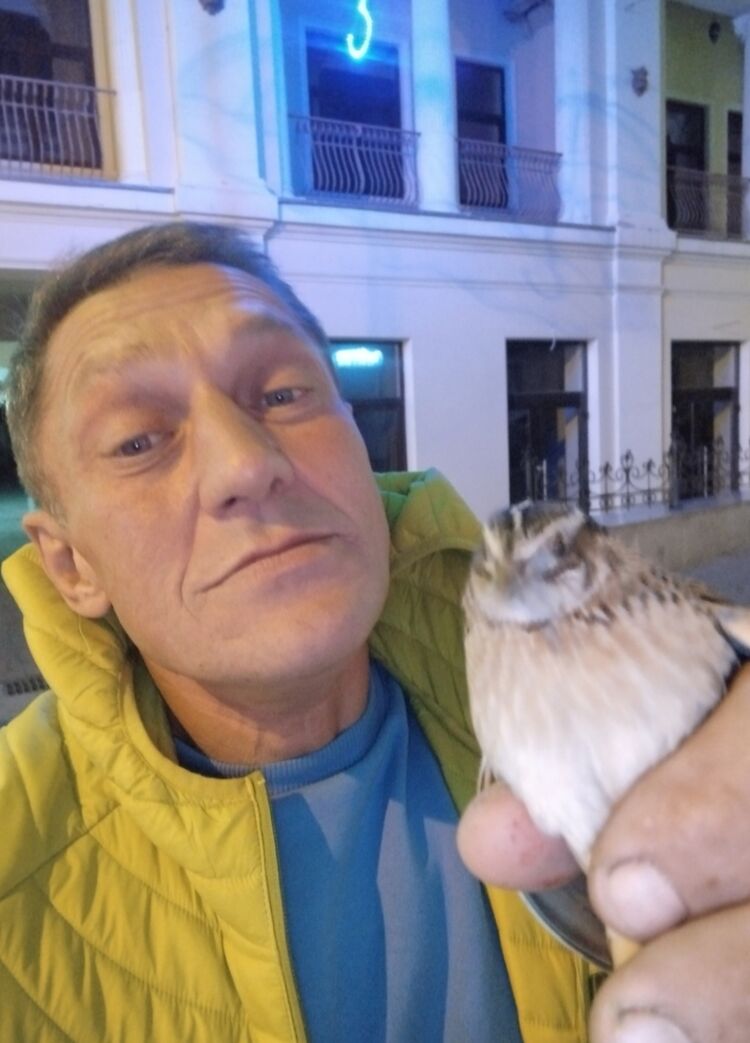  ,   , 50 ,   ,   , c , 