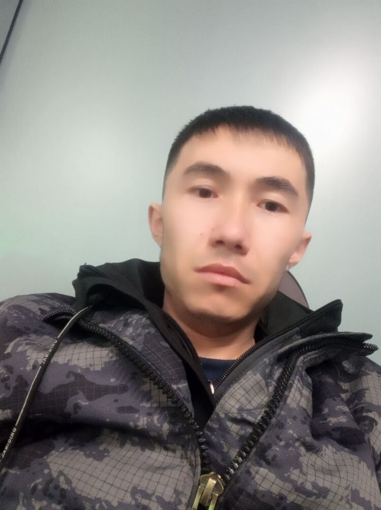  53689787  , 28 ,    