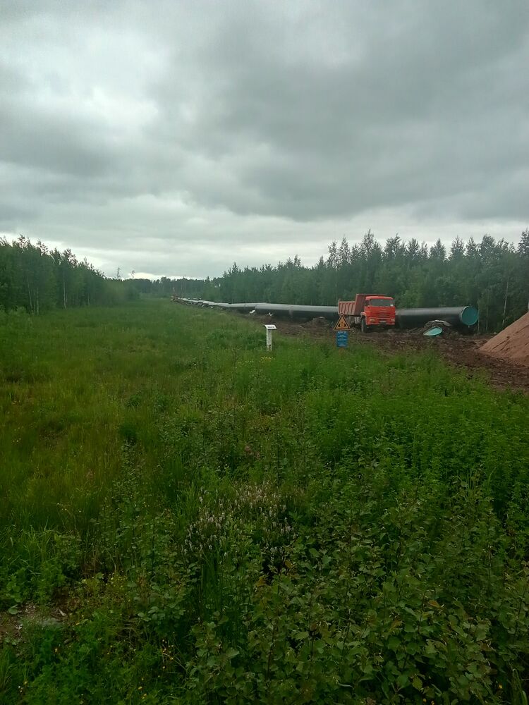  27490527  , 57 ,    -