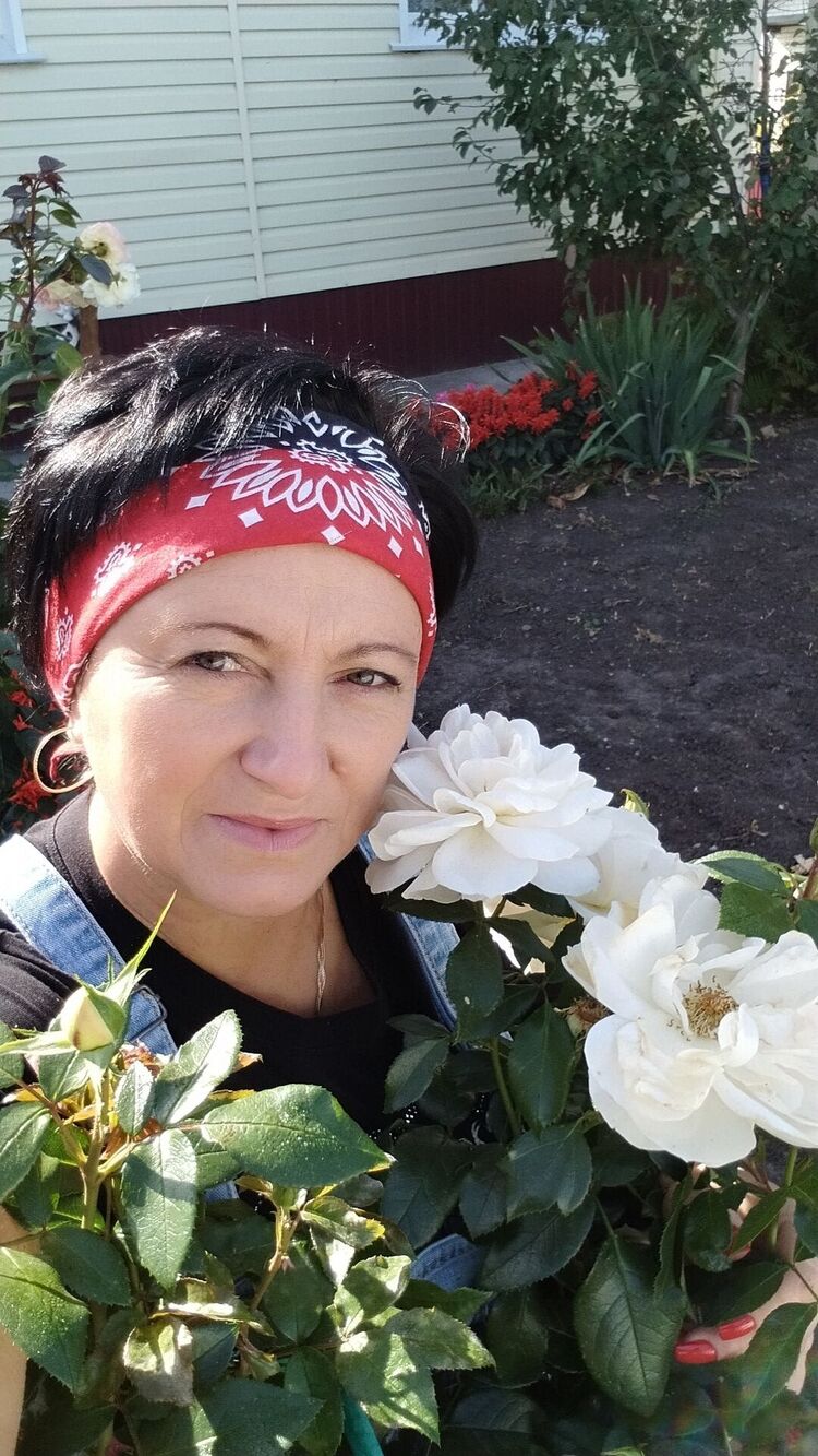 ���������� ������, ���� ������� �����, 53 ����, ������������ ��� ������, ����� � ���������, c�������� ���������