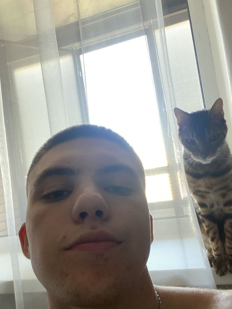 -,   , 20 ,   ,   
