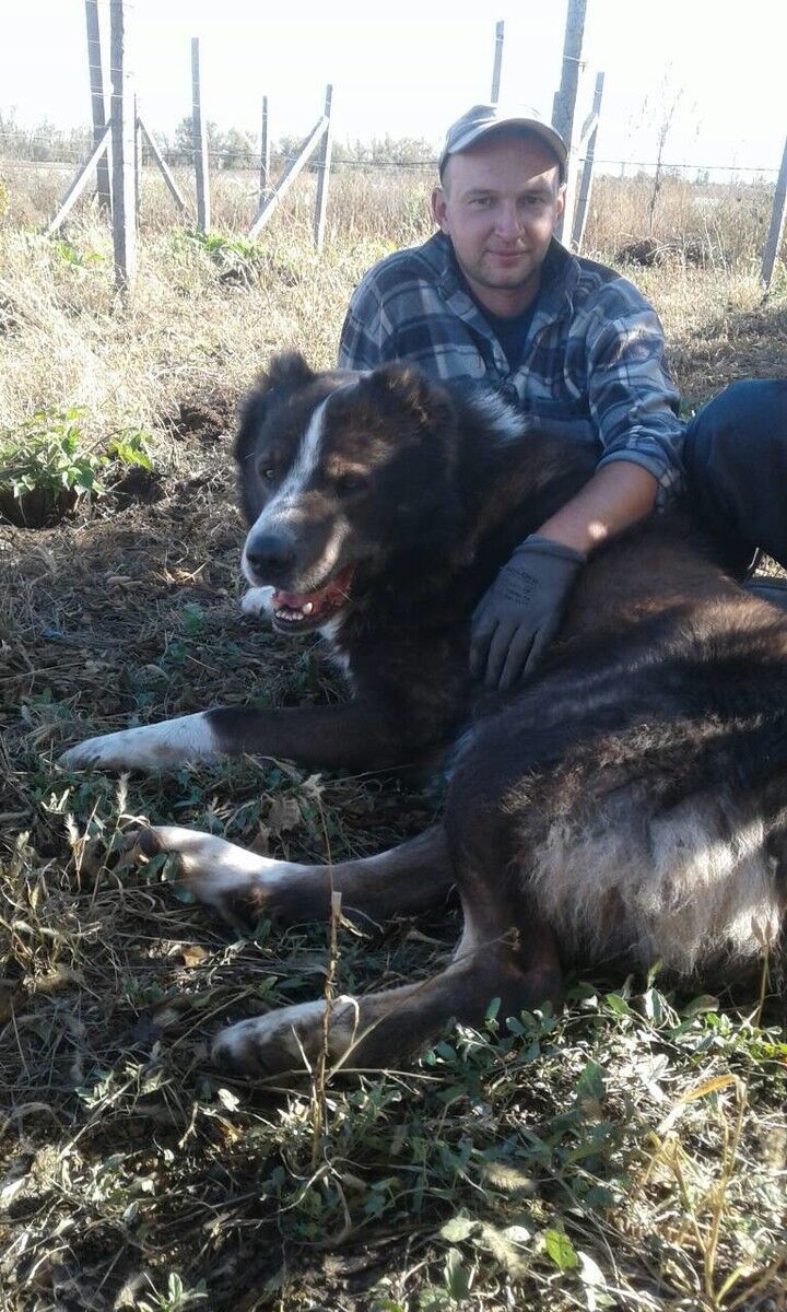 ���� 18328857 ������� Ura, 40 ���, ���� ���������� � �������