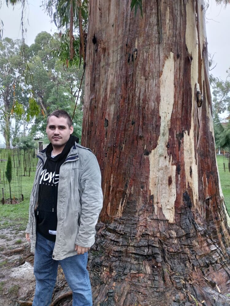 ���� 29665827 ����� ����������, 25 ���, ���� ���������� � ����������