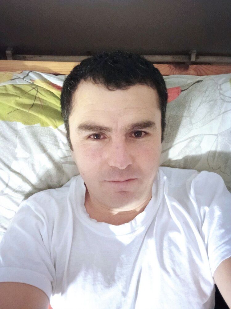  31496757  , 41 ,    