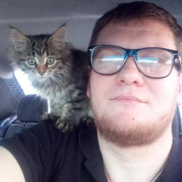 ���������� ������, ���� ������� ����, 43 ����, ������������ ��� ������, ����� � ���������, c�������� ���������