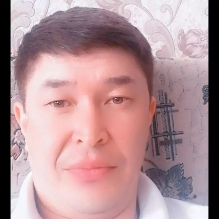  23849187  , 41 ,    