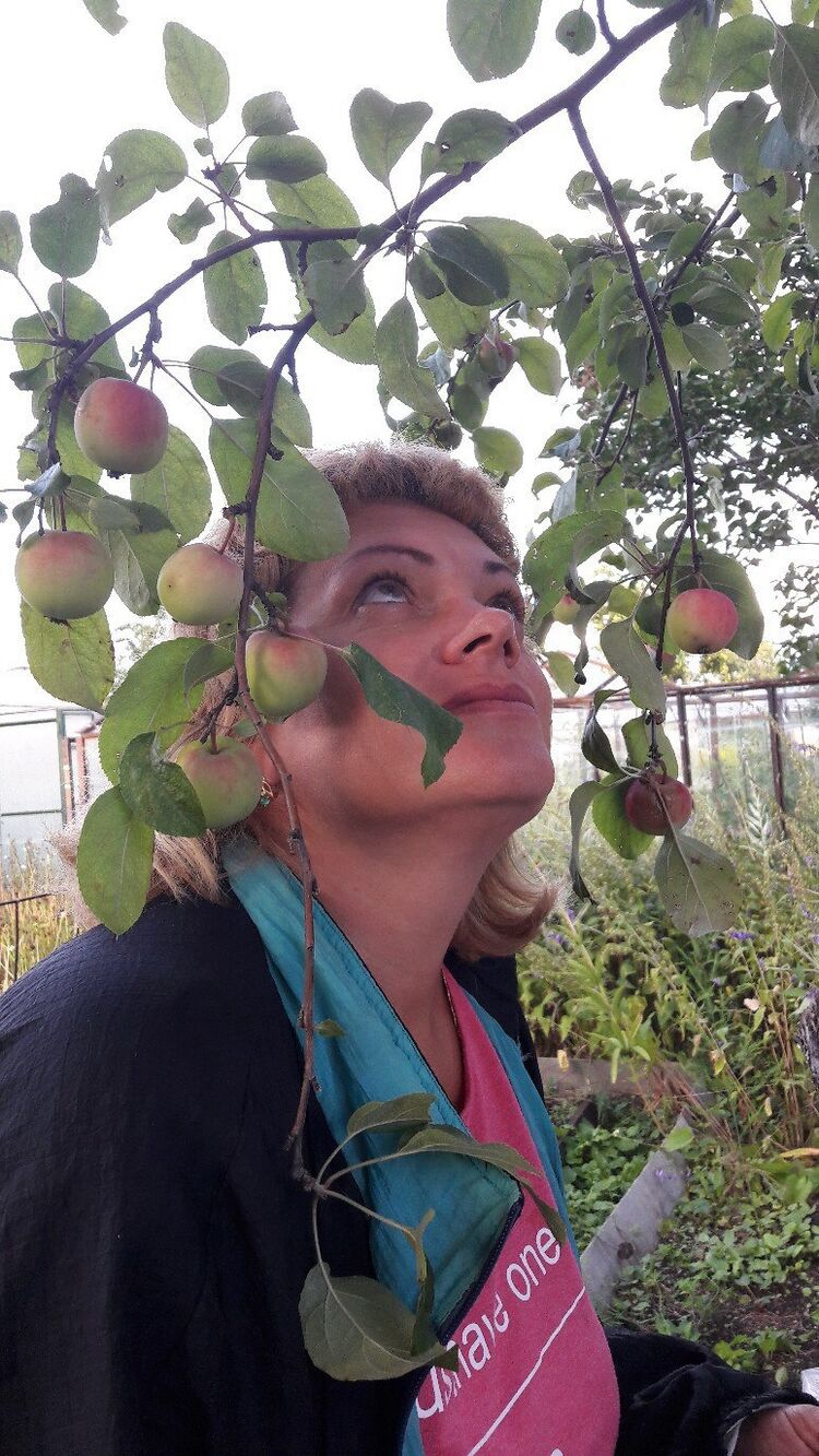 ���������� ������������, ���� ������� �������, 53 ����, ������������ ��� c�������� ���������, ���������