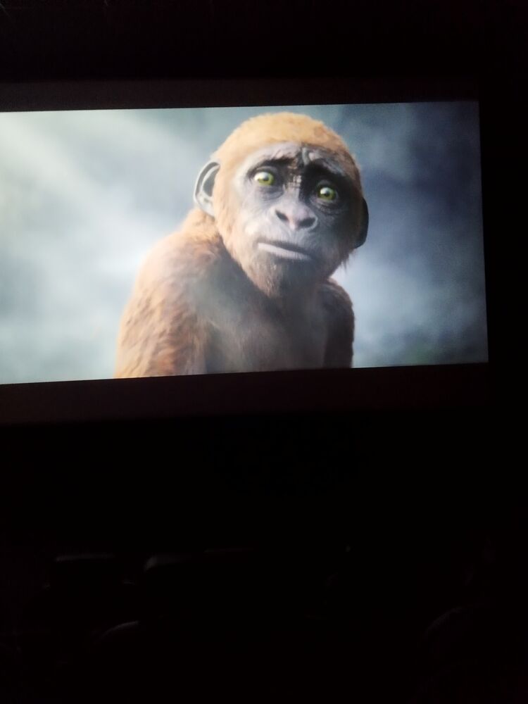 ���� 55246197 ����� �����, 18 ���, ���� ���������� � ����������