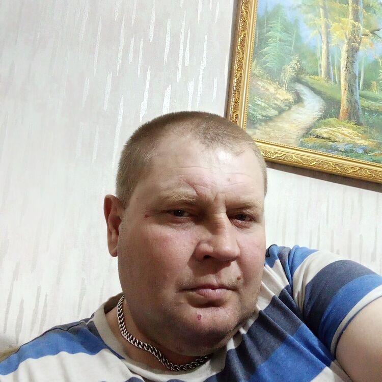  41088957  , 46 ,    