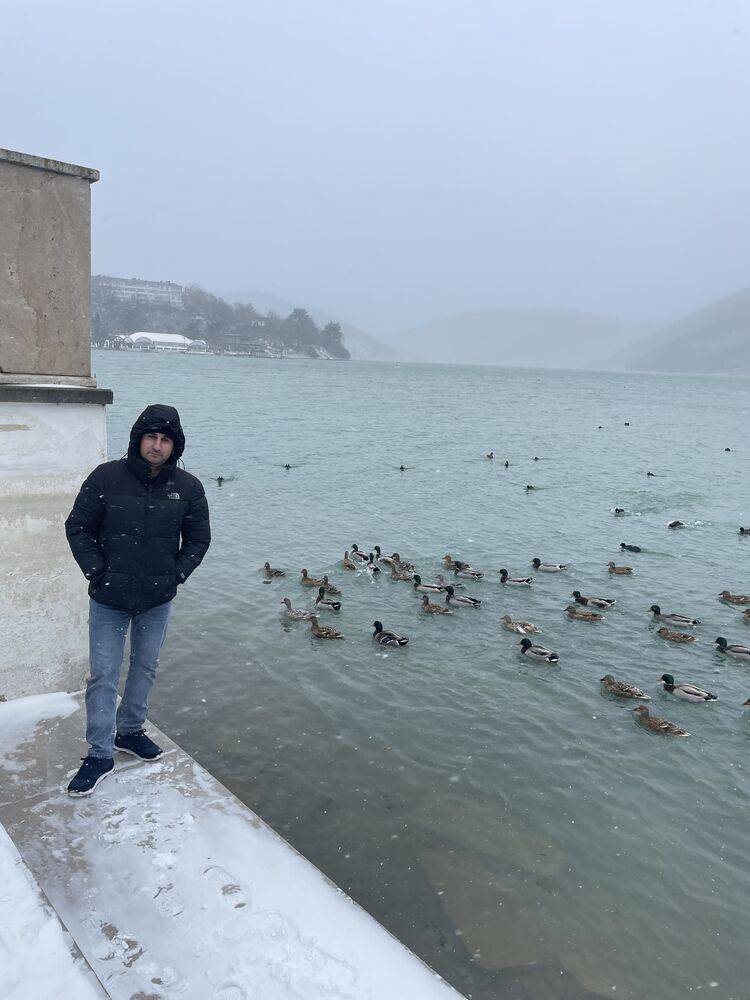  38247567  , 41 ,    -