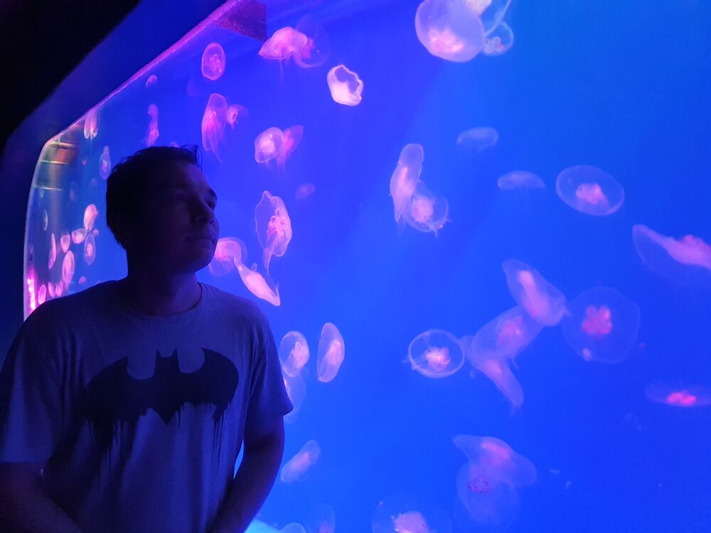 ���������� �����-���������, ���� ������� ��������, 30 ���, ������������ ��� ���������