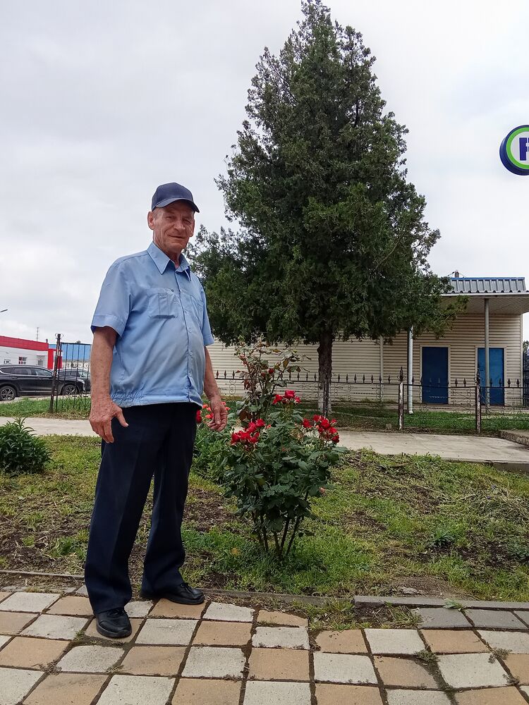 ���� 51812237 ������� ������, 74 ����, ���� ���������� � ����������