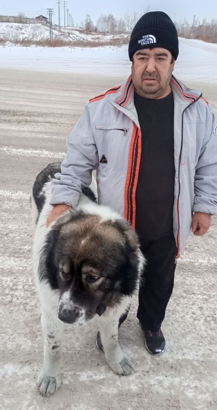 ���������� ����������, ���� ������� ����, 47 ���, ������������ ��� ������, ����� � ���������, c�������� ���������, ���������