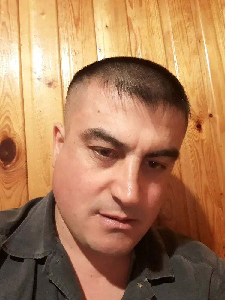  33832637  , 41 ,    