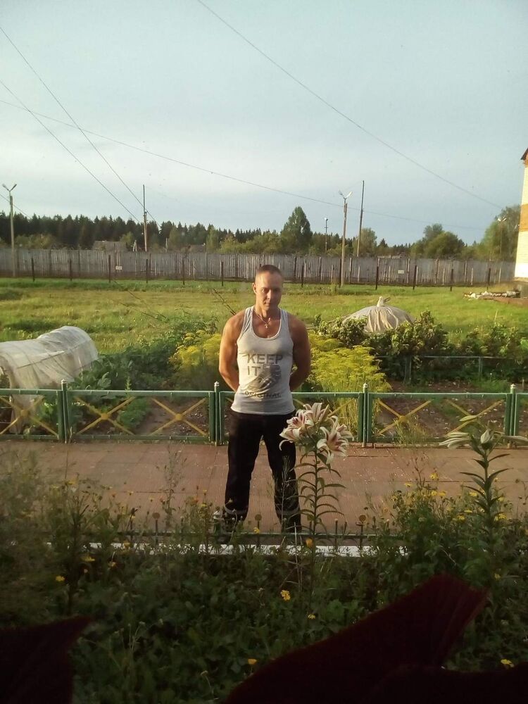  40976067  , 46 ,    