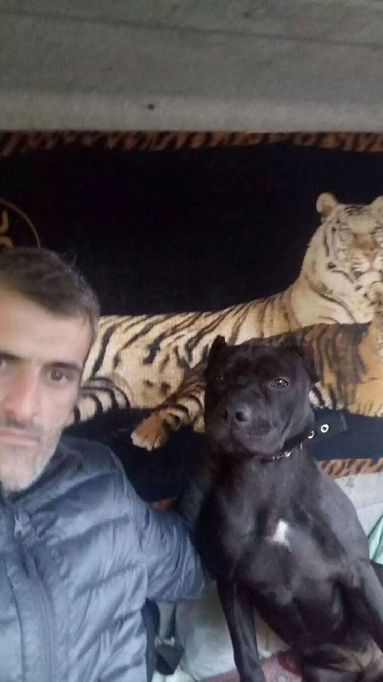 ���� 43843097 ������� ������, 42 ����, ���� ���������� � �������