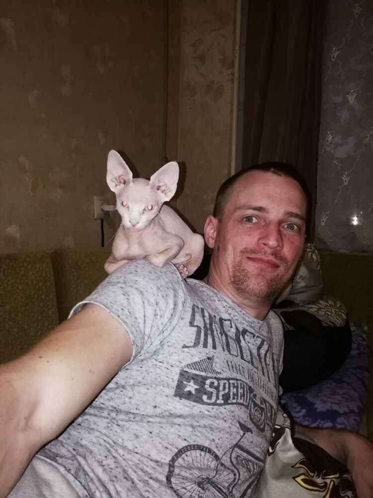  --,   , 38 ,   