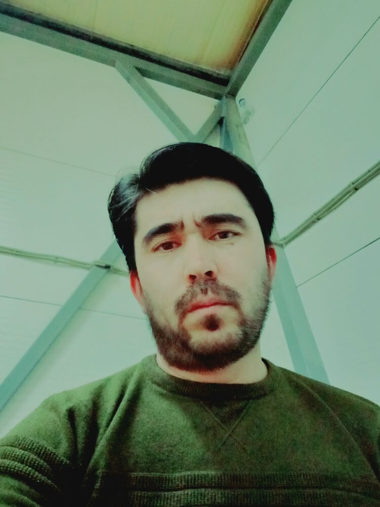 ���� 24967697 ������� �����, 32 ����, ���� ���������� � �����-����������